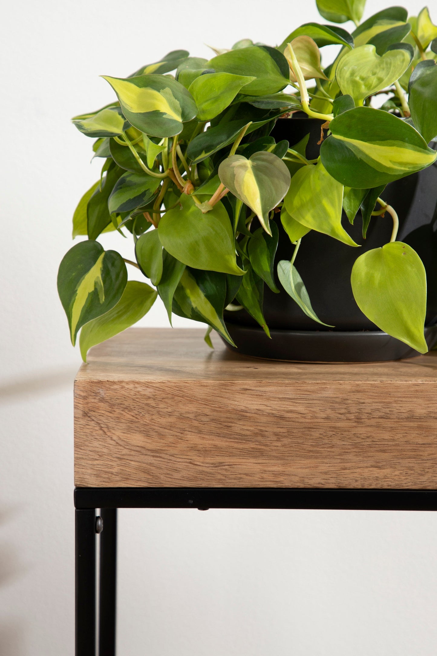 Karlsen Wood and Metal Slim Side Table