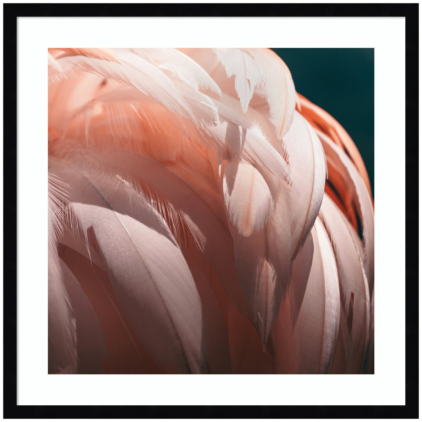Flamingo No. 2 by Alicia Bock Framed Wall Art Print