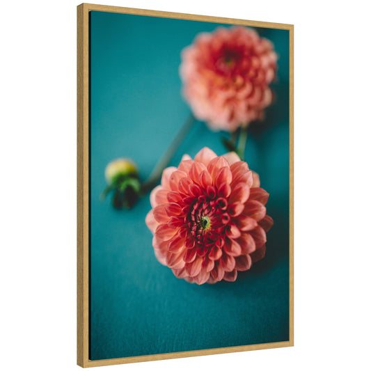 Sylvie Vibrant Pink Dahlia Floral Framed Canvas by Patricia Hasz