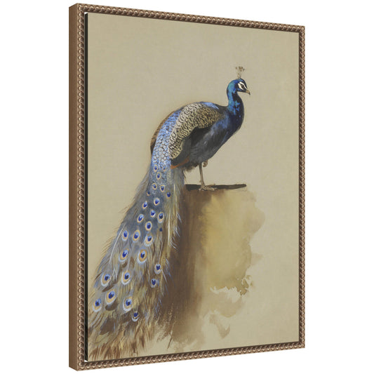 Peacock no date Archibald Thorburn by Nostalgia Prints Framed Canvas Wall Art Print