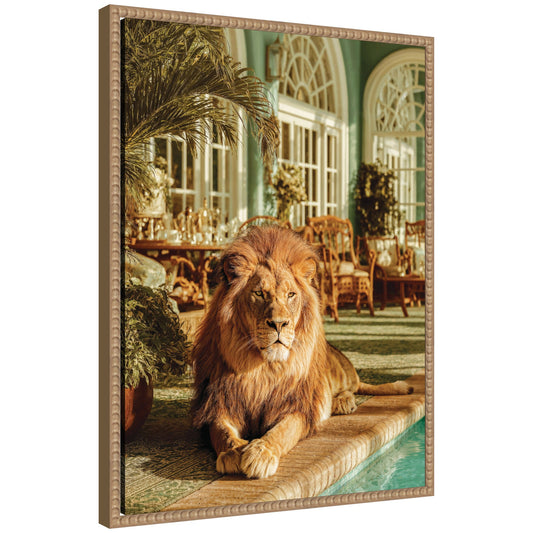 Majestic Lion by the Pool  by Michael Schauer Framed Canvas Wall Art Print