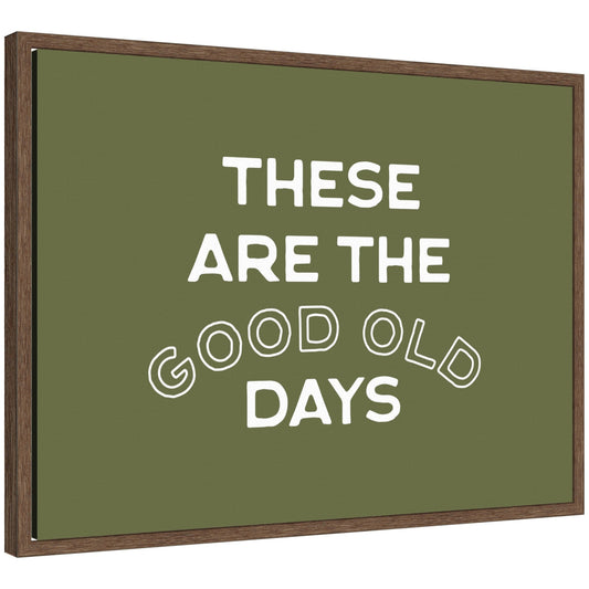 These Are the Good Old Days Retro Poster, Stamped Lettering Sage Green Wall Art Dopamine Decor by Lucky Guava Framed Canvas Wall Art Print